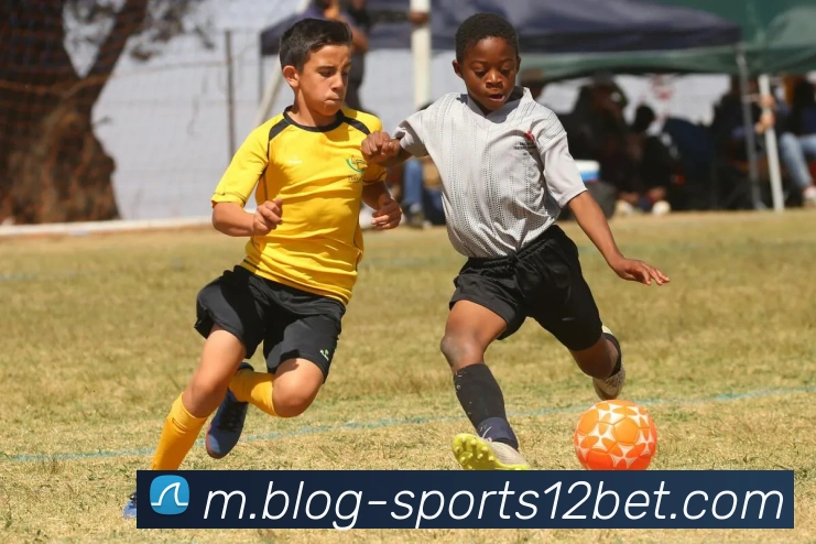 12bet平台生态图